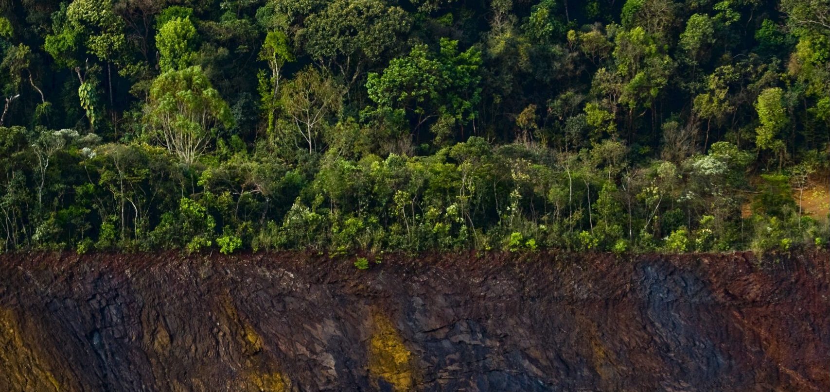 Nova Lima: Vale é denunciada em nota por causa da retomada de atividades  minerárias do Projeto Vargem Grande que ameaçam população local